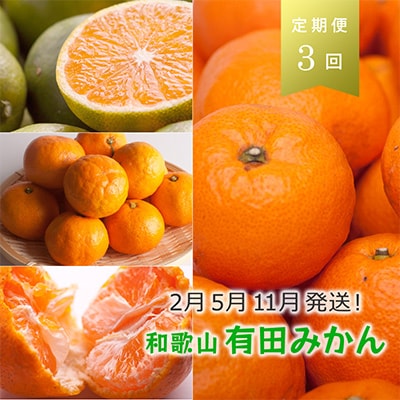 【発送月固定定期便】季節の柑橘定期便A【フルーツ定期便】【和歌山県有田】全3回【4012795】和歌山県九度山町24000果物・フルーツみかん・柑橘類