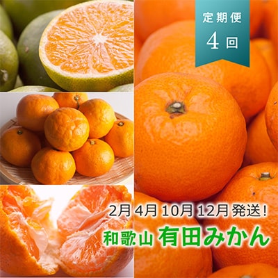 【発送月固定定期便】季節の柑橘定期便A【フルーツ定期便】【和歌山県有田】全4回【4012797】和歌山県九度山町32000果物・フルーツみかん・柑橘類