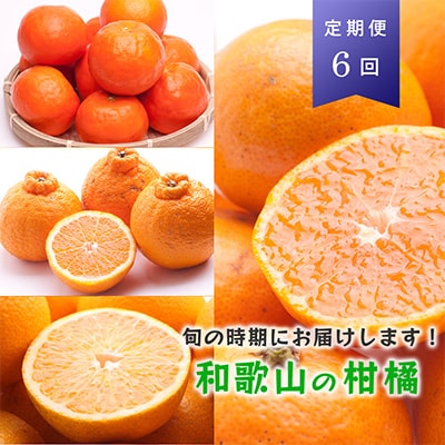 【発送月固定定期便】季節の柑橘定期便B【フルーツ定期便】【和歌山県有田】全6回【4012801】和歌山県九度山町84000果物・フルーツみかん・柑橘類