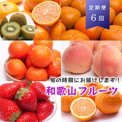 【発送月固定定期便】フルーツ定期便A【フルーツ定期便】【和歌山県有田】全6回【配送不可地域:離島・北海道・沖縄・東北・関東・九州】【4013734】和歌山県九度山町54000果物・フルーツ
