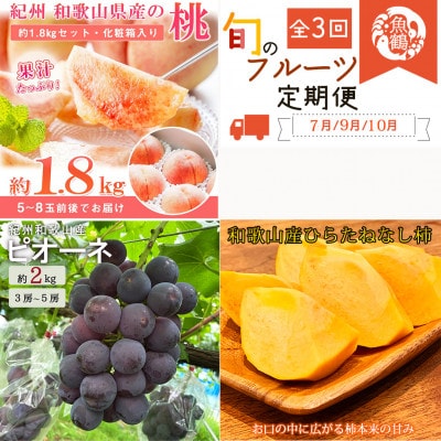 yŒցzIBa̎RY{̃t[cZbg(EsI[lEЂ炽˂Ȃ`)S3yzsnFEkCEzy4052279za̎RxR47000ʕEt[cE