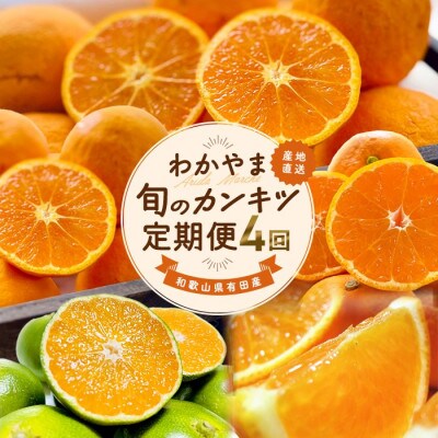 【発送月固定定期便】わかやま 旬のカンキツ定期便【L】全4回【4069795】和歌山県九度山町72000果物・フルーツみかん・柑橘類