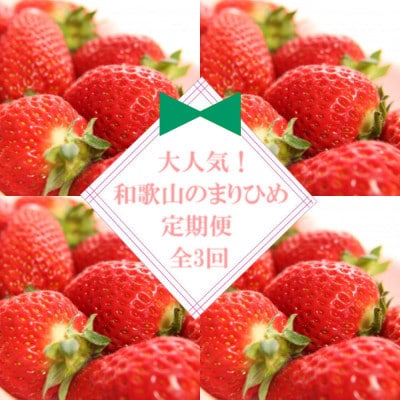 【発送月固定定期便】大人気のまりひめを満喫!300g×2パックを1月・3月・5月に発送全3回【配送不可地域:離島・北海道・沖縄】【4071001】和歌山県九度山町29000果物・フルーツいちご