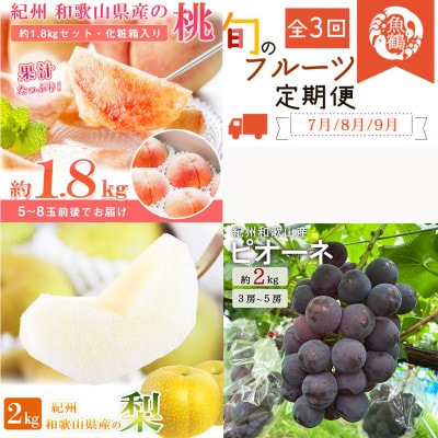 【発送月固定定期便】紀州和歌山産旬のフルーツセット(桃・梨・ピオーネ)全3回【配送不可地域:離島・北海道・沖縄】【4074058】和歌山県九度山町51000果物・フルーツもも・すもも