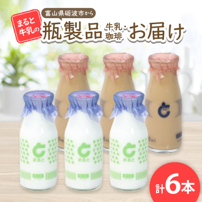 【まると牛乳】 富山県砺波市から瓶製品 牛乳・珈琲 お届け【配送不可地域:離島・北海道・沖縄】【1466752】富山県砺波市5000卵・乳製品牛乳・乳飲料