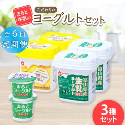 【毎月定期便】【まると牛乳】こだわりのヨーグルトセット全6回【配送不可地域:離島】【4061649】富山県砺波市60000卵・乳製品ヨーグルト