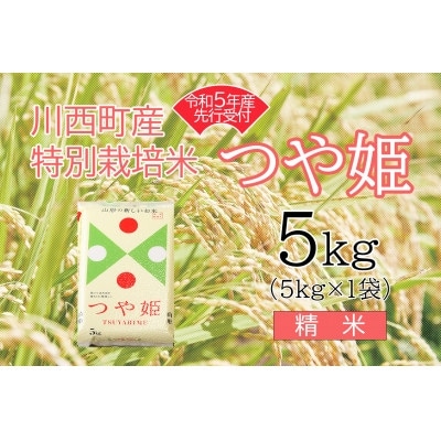 令和5年産 つや姫5kg 精米 真空パック詰【1121434】山形県川西町10000米・パン白米
