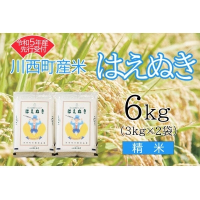 令和5年産 はえぬき6kg 精米 真空パック詰【1121435】山形県川西町10000米・パン白米