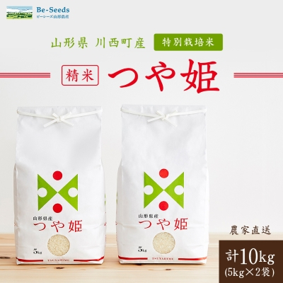 令和7年産 山形県産 つや姫 10kg(5kg×2袋)【1144530】山形県川西町29000米・パン白米