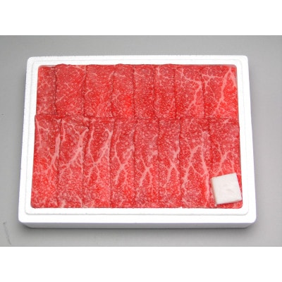 R`Yđ򋍂₫(600g×1)yzsnFEEEBzy1269505zR`쐼37000