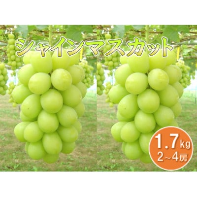 VC}XJbg@G@1.7kg(2[`4[)yʕ/ԂǂzyzsnFzy1291655zR`쐼18000ʕEt[c}XJbgEԂǂ