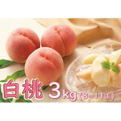@3kg(8ʁ`11)@i킨܂@ϔ yʕ/zyzsnFEkCEEMzAkECEߋEEElEBzy1291670zR`쐼14000ʕEt[c