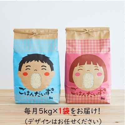 2023年10月発送開始『定期便』山形県産 はえぬき 5kg(5kg×1袋)全6回【5087199】山形県川西町37000米・パン白米