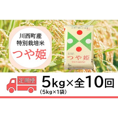 2023年10月発送開始『定期便』川西町産 特別栽培米「つや姫」精米5kg(5kg×1袋)全10回【5169240】山形県川西町100000米・パン白米