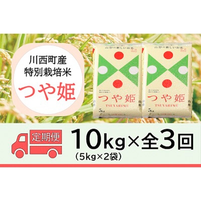 2023年12月発送開始『定期便』川西町産 特別栽培米「つや姫」精米10kg(5kg×2袋)全3回【5169254】山形県川西町53000米・パン白米