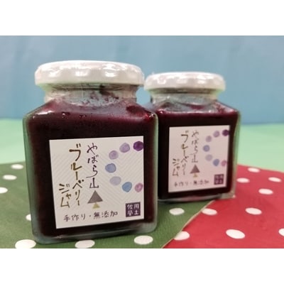 ブルーベリージャムと ジャム作りセット【配送不可地域:離島】【1117865】兵庫県佐用町13000果物・フルーツその他 果物・フルーツ