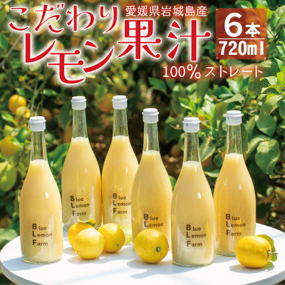 愛媛 ブルーレモンファームのレモン果汁 720ml×6本セット【1489706】愛媛県上島町38000お茶・飲料果汁・野菜飲料