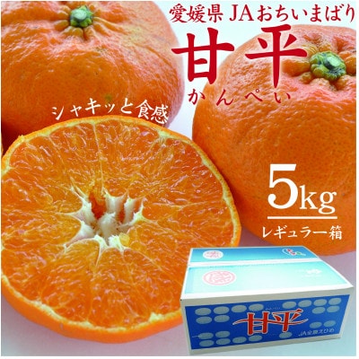 【先行受付】人気柑橘 甘平(かんぺい)レギュラー箱 5kg 愛媛県 JAおちいまばり【配送不可地域:離島】【1622635】愛媛県上島町24000果物・フルーツみかん・柑橘類