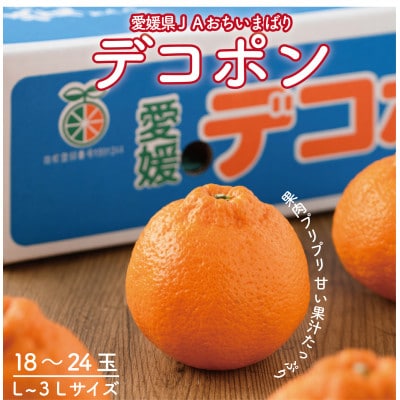 【先行予約】瀬戸内のデコポン 約5kg 3L〜L 18玉〜24玉 JA選果品 上島・今治産【1643861】愛媛県上島町21000果物・フルーツみかん・柑橘類