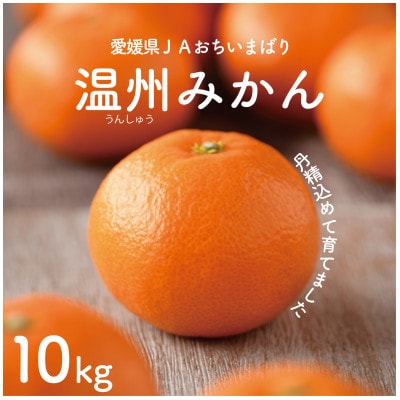 ys\z˓̉B݂10kg@L`S@JAIʕiy1644274zQ㓇24000ʕEt[c݂Ek