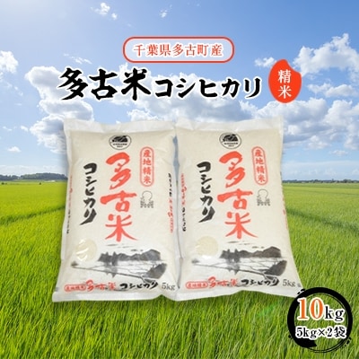 【令和7年産】多古米コシヒカリ 精米10kg(5kg×2袋)【配送不可地域:離島・沖縄】【1030393】千葉県多古町30000米・パン白米