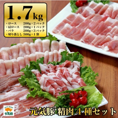 千葉県産豚肉 元気豚 精肉4種セット 1.7kg【配送不可地域:離島・沖縄】【1301298】千葉県多古町12000肉豚肉