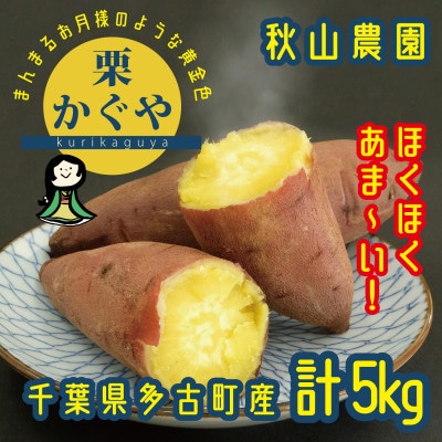秋山農園から話題のさつまいも「栗かぐや(R)」5kg【配送不可地域:離島・沖縄】【1459865】千葉県多古町9000野菜・きのこじゃがいも・イモ類