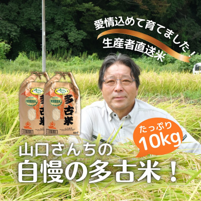 山口さんちの【令和7年産】多古米コシヒカリ(精米)10kg【配送不可地域:離島・沖縄】【1459866】千葉県多古町38000米・パン白米