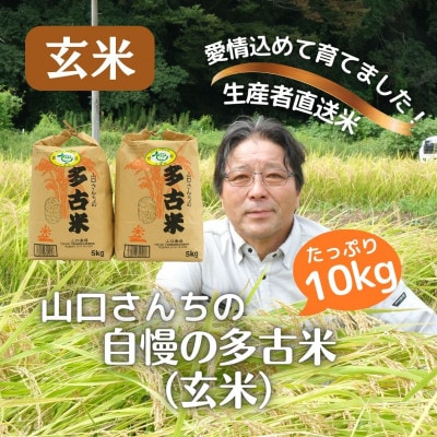 山口さんちの【令和7年産】多古米コシヒカリ(玄米)10kg【配送不可地域:離島・沖縄】【1481143】千葉県多古町35000米・パン玄米・雑穀米・もち米・餅