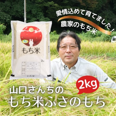 ÕĔ_ R񂿂̂2kg tiӂ̂yzsnFzy1584689ztÒ8000āEp