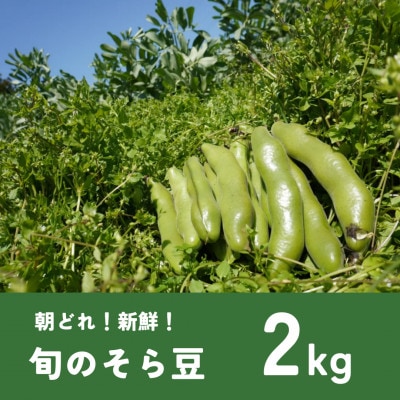 呺_̂瓤2kg(5{菇)yzsnFEzy1609285ztÒ11000؁Ê