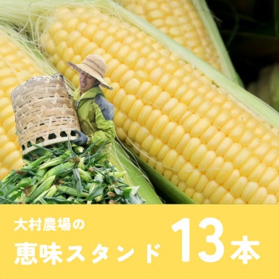大村農場の朝採りとうもろこし恵味スタンド13本【配送不可地域:離島】【1643919】千葉県多古町10000野菜・きのことうもろこし