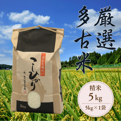 厳選多古米コシヒカリ 精米5kg 令和7年産【配送不可地域:離島】【1647790】千葉県多古町21000米・パン白米