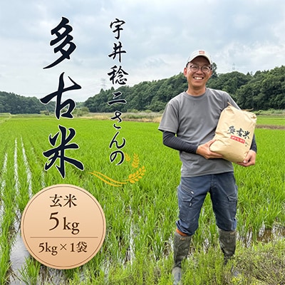 多古米セレクション 宇井稔二さんの多古米コシヒカリ 玄米5kg 令和7年産【配送不可地域:離島】【1648311】千葉県多古町18000米・パン玄米・雑穀米・もち米・餅