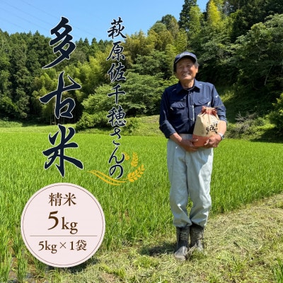多古米セレクション 萩原佐千穂さんの多古米コシヒカリ 精米5kg 令和7年産【配送不可地域:離島】【1654400】千葉県多古町20000米・パン白米