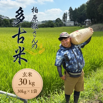 多古米セレクション 柏原徹さんの多古米コシヒカリ 玄米30kg 令和7年産【配送不可地域:離島】【1656410】千葉県多古町138000米・パン玄米・雑穀米・もち米・餅