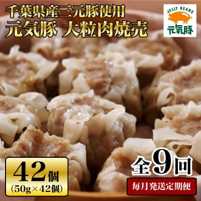 yցzC 嗱ĔZbg 42Zbg(v2.1kg)S9yzsnFEzy4055283ztÒ106000ZbgE؁EHHi