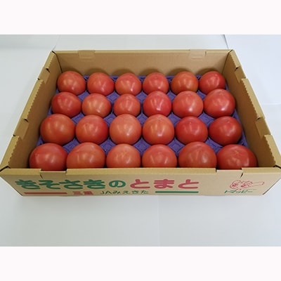 きそさきのとまと(4kg)【配送不可地域:離島】【1029690】三重県木曽岬町10000野菜・きのこトマト