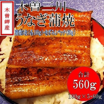 「2024年4月発送」木曽岬産「木曽三川うなぎ」うなぎ蒲焼5枚(各100g)+おまけ(60g)付【配送不可地域:離島】【1470887】三重県木曽岬町25000魚介・海産物うなぎ