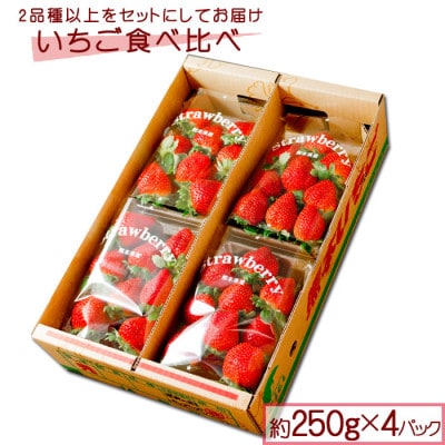 ハウスからご自宅へ!いちご食べ比べ4パックセット【配送不可地域:離島】【1373185】熊本県阿蘇市11000果物・フルーツいちご