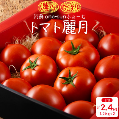 g}g 팎 2.4kgyzsnFzy1422477zF{hs8000؁Êg}g
