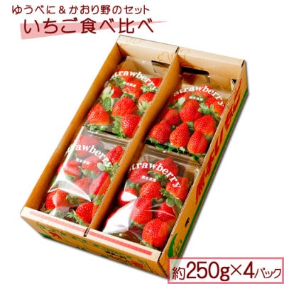 いちご食べ比べ2種4パックセット【配送不可地域:離島】【1489310】熊本県阿蘇市13000果物・フルーツいちご