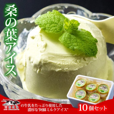 牧場直送!阿部牧場三ツ星受賞牛乳を使用したヘルシー桑の葉セット(桑の葉アイス130ml×10個)【配送不可地域:離島】【1516375】熊本県阿蘇市16000菓子・スイーツアイス・ジェラート