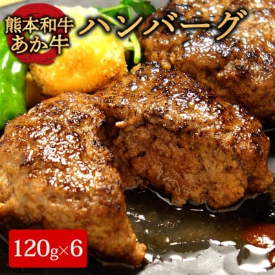 あか牛100%ハンバーグセット (あか牛ハンバーグ120g×6個)(阿蘇市)【配送不可地域:離島】【1556821】熊本県阿蘇市12000肉加工肉(ハム・ソーセージ等)