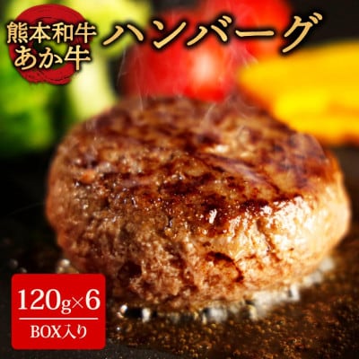 くまモンあか牛ハンバーグセット (あか牛ハンバーグ120g×6個)(阿蘇市)【配送不可地域:離島】【1556824】熊本県阿蘇市12000肉加工肉(ハム・ソーセージ等)