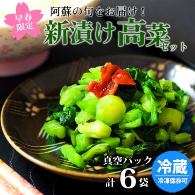 R6年度 阿蘇の新漬け高菜セット【配送不可地域:離島】【1604724】熊本県阿蘇市15000鍋セット・総菜・加工食品漬物・梅干・キムチ