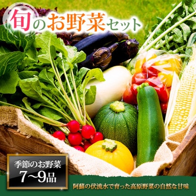 季節のお野菜セットL 旬のお野菜の中から7〜9品を厳選してお届け【配送不可地域:離島】【1623518】熊本県阿蘇市8000野菜・きのこその他 野菜