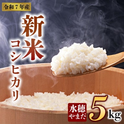 新米 令和7年産 コシヒカリ 5kg (白米) 水穂やまだ【1646674】熊本県阿蘇市18000米・パン白米