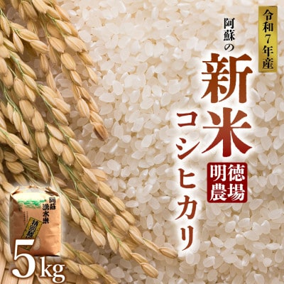R7年産 コシヒカリ 5kg  (白米)  明徳農場【1646692】熊本県阿蘇市18000米・パン白米