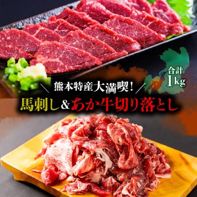 熊本特産大満喫! 馬刺し&あか牛切り落としセット(馬刺し400g&切り落とし600g)【配送不可地域:離島】【1661989】熊本県阿蘇市64000肉その他 肉